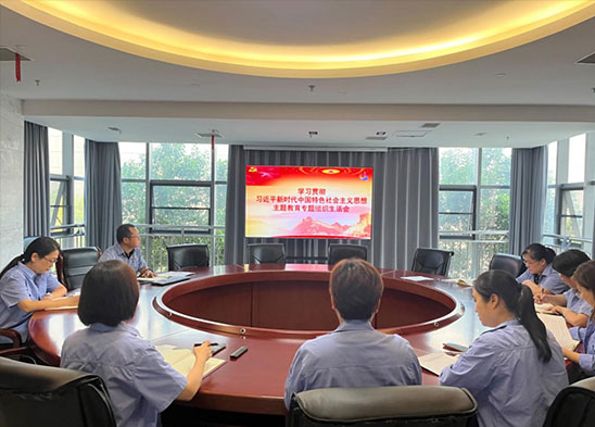 麦斯克电子二支部召开学习贯彻习近平新时代中国特色社会主义思想专题组织生活会