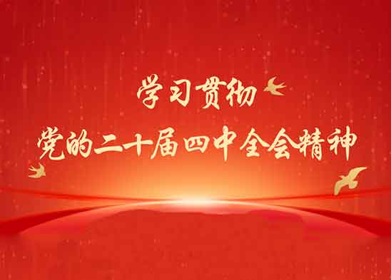 学习贯彻党的二十届四中全会精神 | 四中全会提及的“52167”有何内涵？